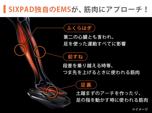 シックスパッド フットフィットライト 期間限定特価の通販｜テレビ