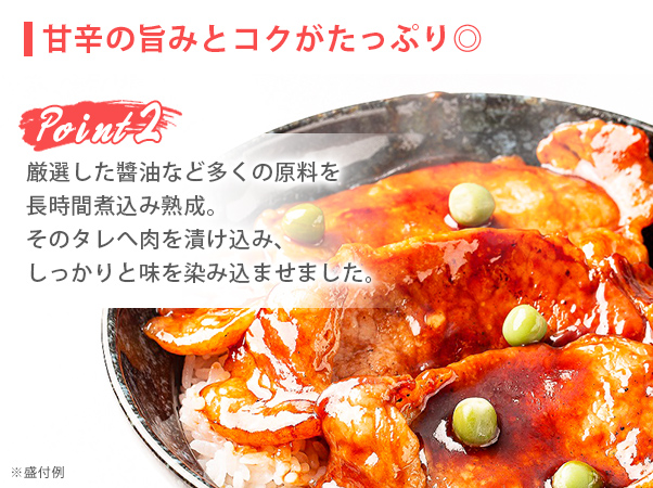 北海道帯広　ぶたいち監修　豚丼セット　１０食5